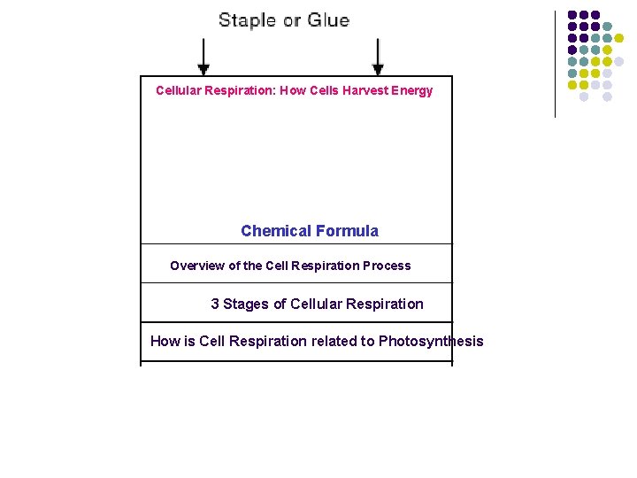 Cellular Respiration: How Cells Harvest Energy Chemical Formula Overview of the Cell Respiration Process