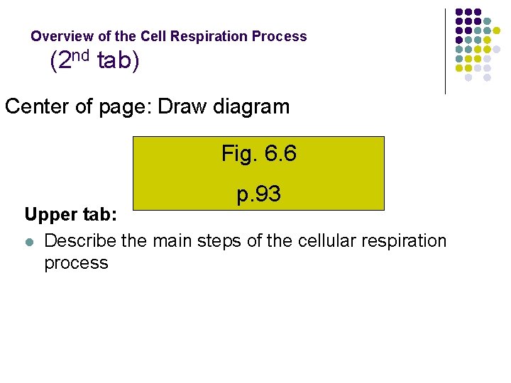 Overview of the Cell Respiration Process (2 nd tab) Center of page: Draw diagram