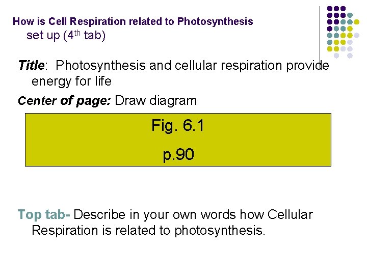 How is Cell Respiration related to Photosynthesis set up (4 th tab) Title: Photosynthesis