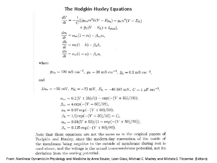 The Hodgkin-Huxley Equations From: Nonlinear Dynamics in Physiology and Medicine by Anne Beuter, Leon