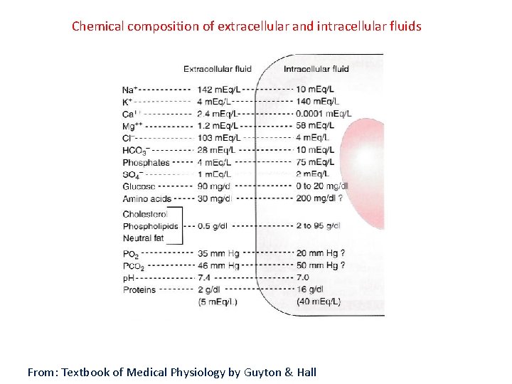 Chemical composition of extracellular and intracellular fluids From: Textbook of Medical Physiology by Guyton