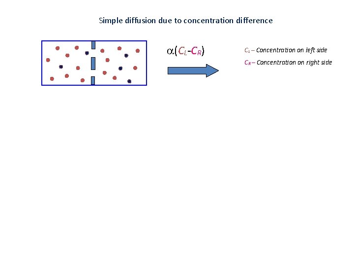 Simple diffusion due to concentration difference a(CL-CR) CL – Concentration on left side CR