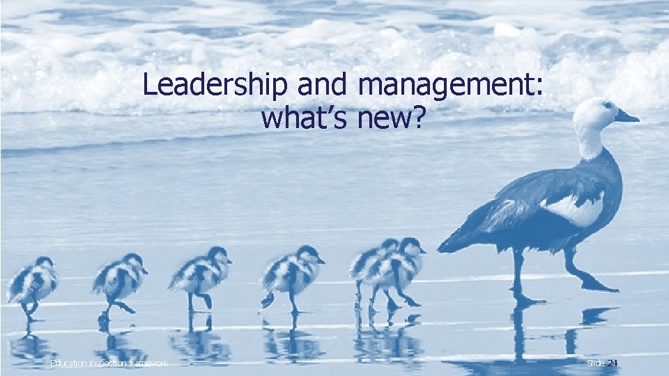 Leadership and management: what’s new? Education inspection framework Slide 24 