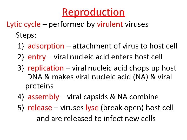 Reproduction Lytic cycle – performed by virulent viruses Steps: 1) adsorption – attachment of