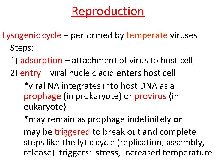 Reproduction Lysogenic cycle – performed by temperate viruses Steps: 1) adsorption – attachment of
