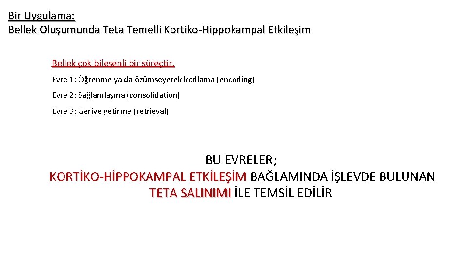 Bir Uygulama: Bellek Oluşumunda Teta Temelli Kortiko-Hippokampal Etkileşim Bellek çok bileşenli bir süreçtir. Evre