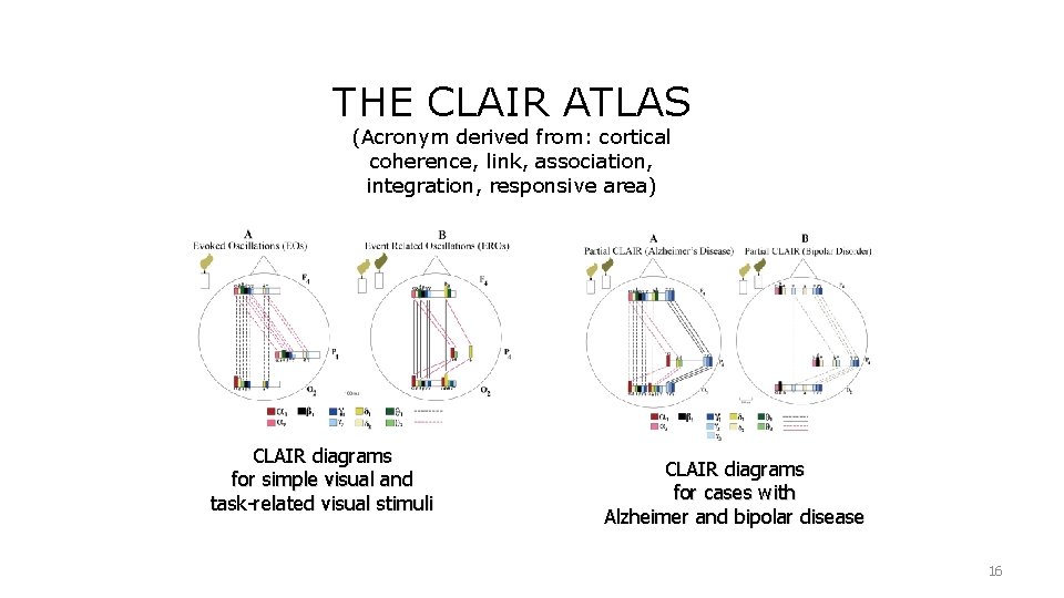 THE CLAIR ATLAS (Acronym derived from: cortical coherence, link, association, integration, responsive area) CLAIR