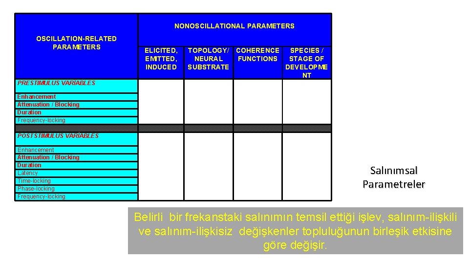 NONOSCILLATIONAL PARAMETERS OSCILLATION-RELATED PARAMETERS ELICITED, EMITTED, INDUCED TOPOLOGY/ COHERENCE SPECIES / NEURAL FUNCTIONS STAGE