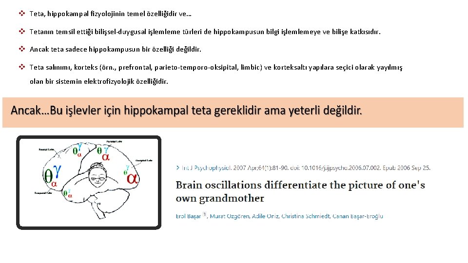 v Teta, hippokampal fizyolojinin temel özelliğidir ve… v Tetanın temsil ettiği bilişsel-duygusal işlemleme türleri