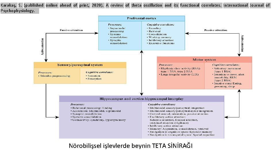 Karakaş, S. (published online ahead of print, 2020). A review of theta oscillation and