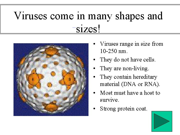 Viruses come in many shapes and sizes! • Viruses range in size from 10