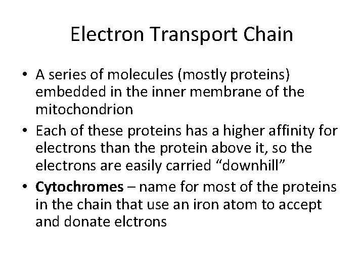 Electron Transport Chain • A series of molecules (mostly proteins) embedded in the inner