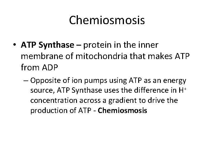 Chemiosmosis • ATP Synthase – protein in the inner membrane of mitochondria that makes