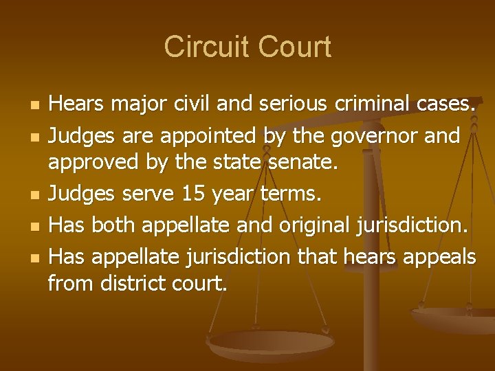 Circuit Court n n n Hears major civil and serious criminal cases. Judges are