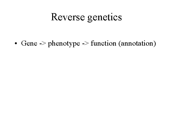 Reverse genetics • Gene -> phenotype -> function (annotation) 