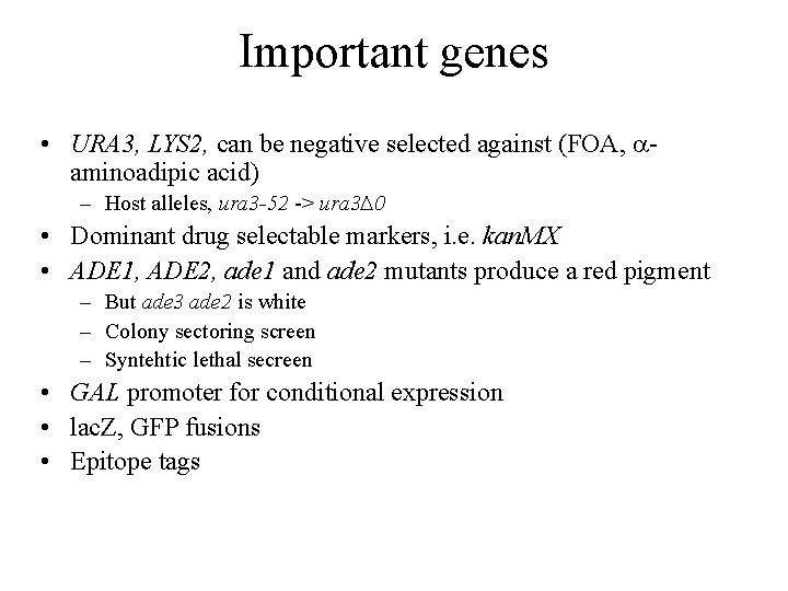 Important genes • URA 3, LYS 2, can be negative selected against (FOA, aaminoadipic