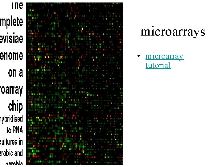 microarrays • microarray tutorial 