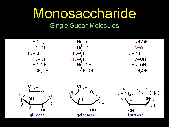 Monosaccharide Single Sugar Molecules 