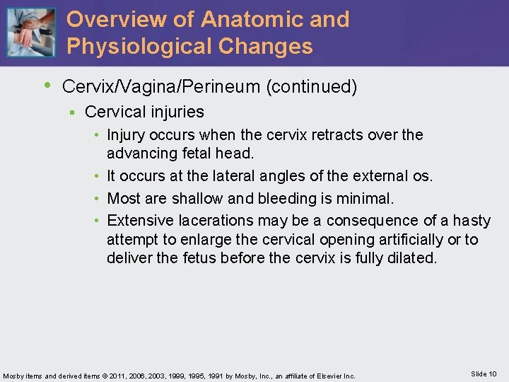 Overview of Anatomic and Physiological Changes • Cervix/Vagina/Perineum (continued) § Cervical injuries • Injury