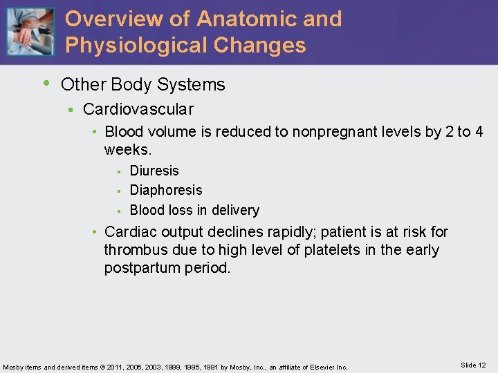 Overview of Anatomic and Physiological Changes • Other Body Systems § Cardiovascular • Blood