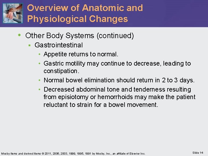 Overview of Anatomic and Physiological Changes • Other Body Systems (continued) § Gastrointestinal •
