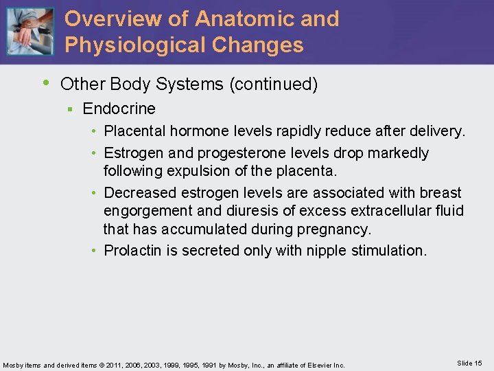 Overview of Anatomic and Physiological Changes • Other Body Systems (continued) § Endocrine •