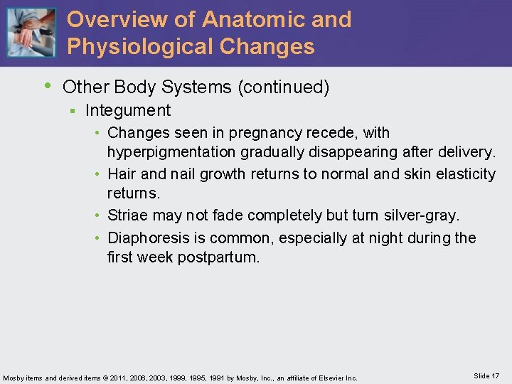 Overview of Anatomic and Physiological Changes • Other Body Systems (continued) § Integument •