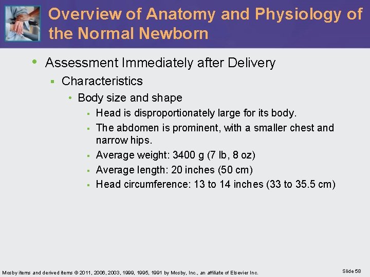 Overview of Anatomy and Physiology of the Normal Newborn • Assessment Immediately after Delivery