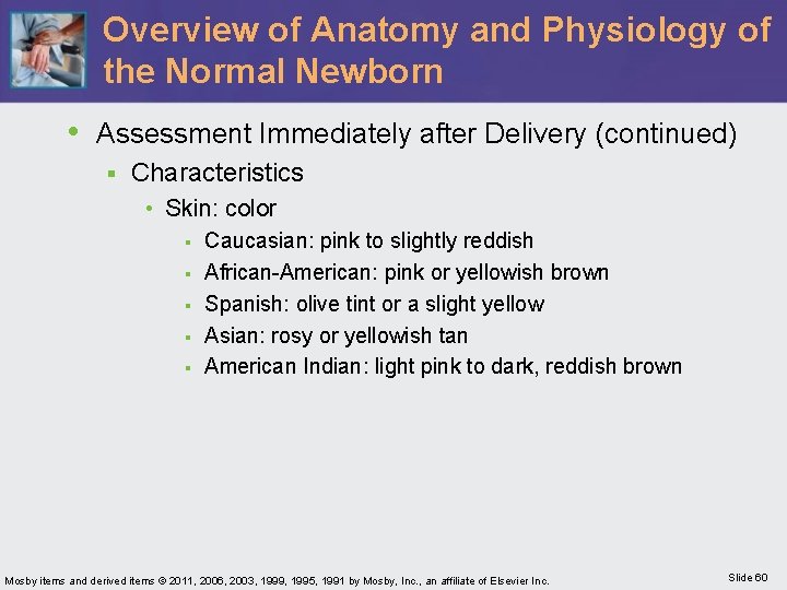 Overview of Anatomy and Physiology of the Normal Newborn • Assessment Immediately after Delivery