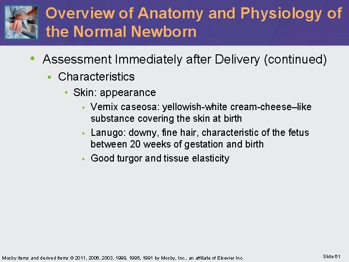 Overview of Anatomy and Physiology of the Normal Newborn • Assessment Immediately after Delivery