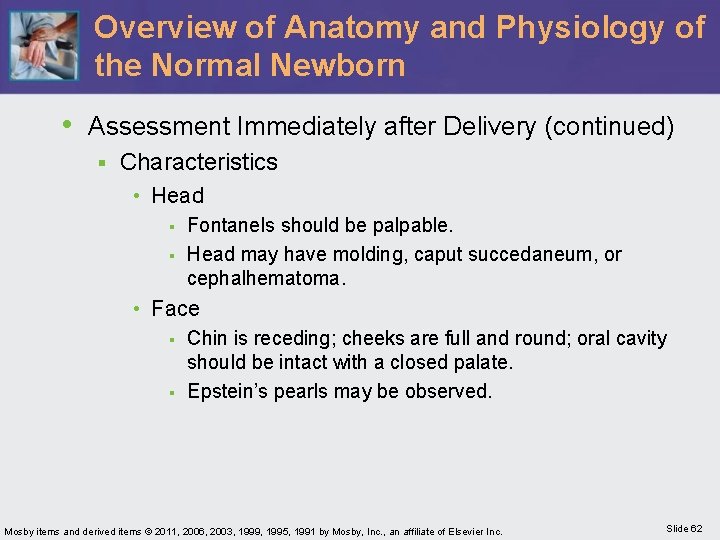 Overview of Anatomy and Physiology of the Normal Newborn • Assessment Immediately after Delivery