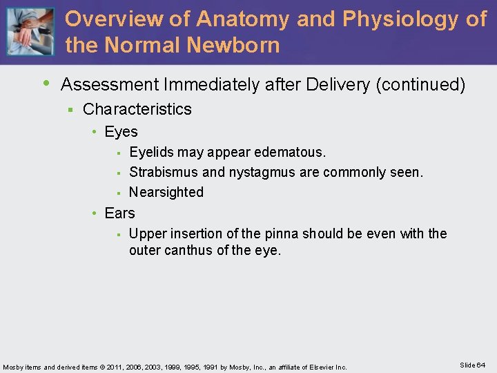 Overview of Anatomy and Physiology of the Normal Newborn • Assessment Immediately after Delivery