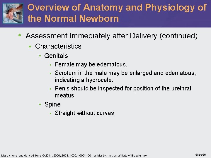 Overview of Anatomy and Physiology of the Normal Newborn • Assessment Immediately after Delivery