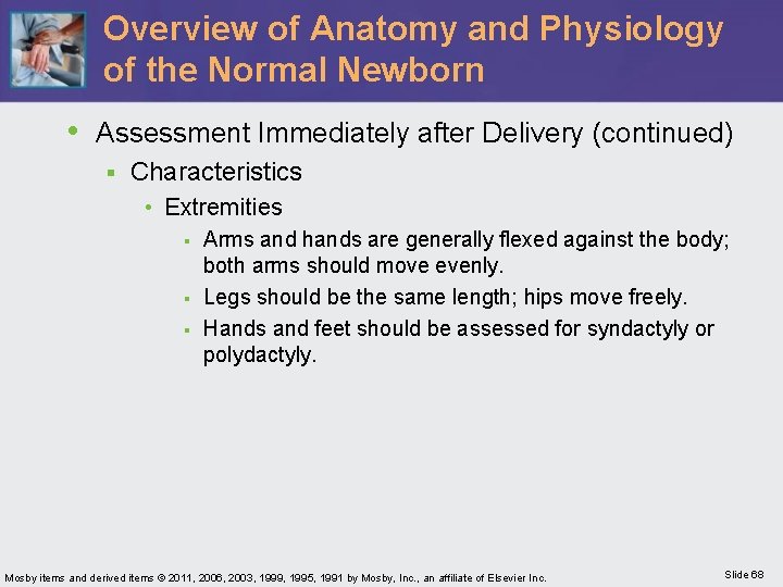 Overview of Anatomy and Physiology of the Normal Newborn • Assessment Immediately after Delivery