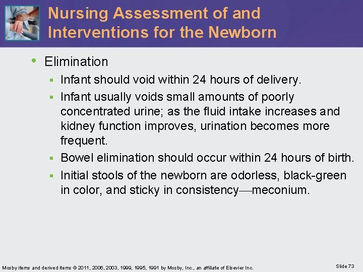 Nursing Assessment of and Interventions for the Newborn • Elimination Infant should void within