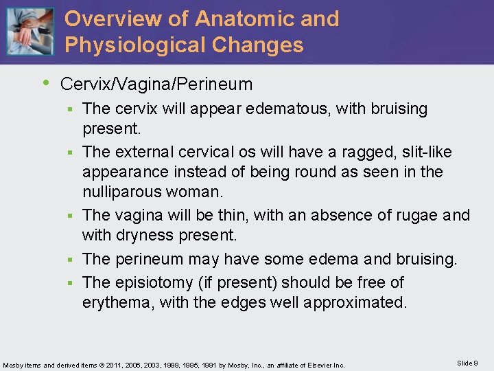 Overview of Anatomic and Physiological Changes • Cervix/Vagina/Perineum § § § The cervix will
