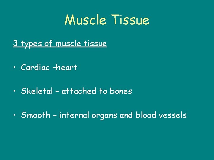 Muscle Tissue 3 types of muscle tissue • Cardiac –heart • Skeletal – attached