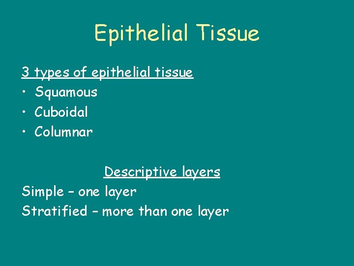 Epithelial Tissue 3 types of epithelial tissue • Squamous • Cuboidal • Columnar Descriptive