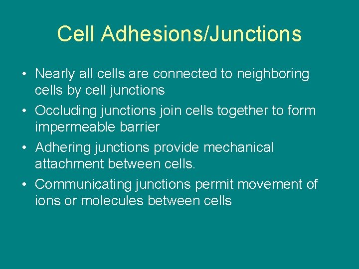Cell Adhesions/Junctions • Nearly all cells are connected to neighboring cells by cell junctions