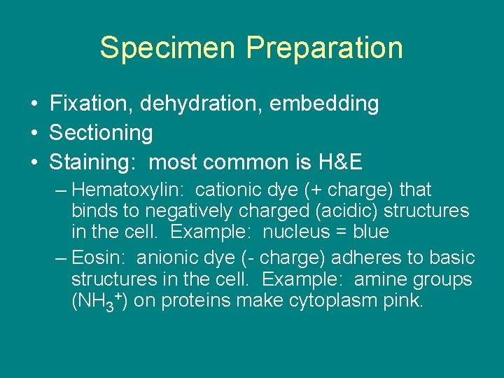 Specimen Preparation • Fixation, dehydration, embedding • Sectioning • Staining: most common is H&E