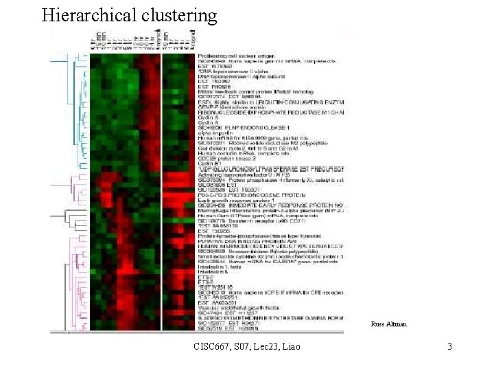 Hierarchical clustering Russ Altman CISC 667, S 07, Lec 23, Liao 3 