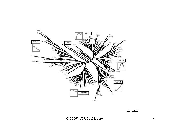 Russ Altman CISC 667, S 07, Lec 23, Liao 4 