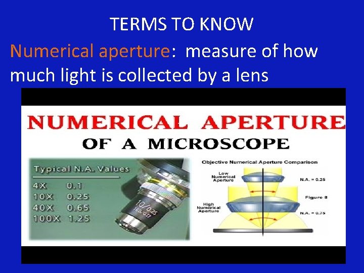 TERMS TO KNOW Numerical aperture: measure of how much light is collected by a