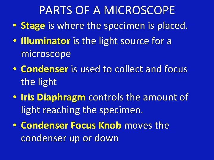 PARTS OF A MICROSCOPE • Stage is where the specimen is placed. • Illuminator
