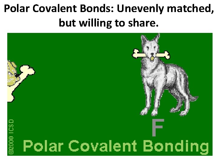 Polar Covalent Bonds: Unevenly matched, but willing to share. 