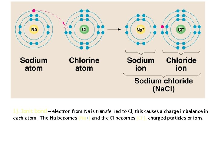 1). Ionic bond – electron from Na is transferred to Cl, this causes a