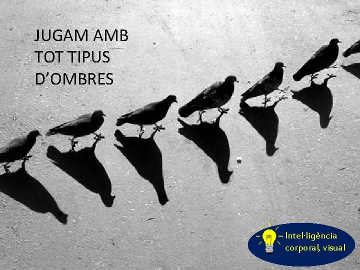 JUGAM AMB TOT TIPUS D’OMBRES Intel·ligència corporal, visual 