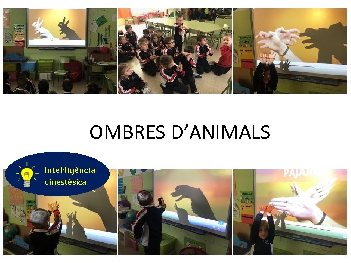 OMBRES D’ANIMALS Intel·ligència cinestèsica 