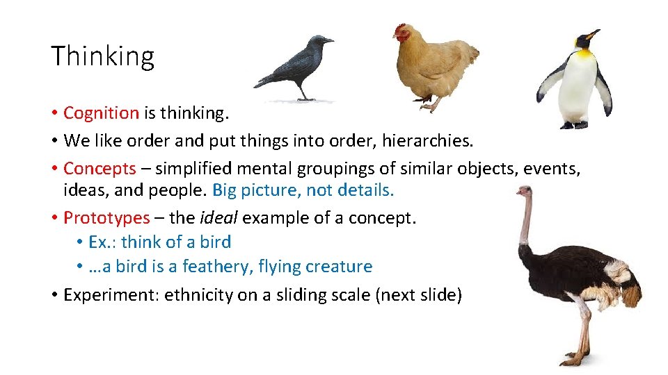 Thinking • Cognition is thinking. • We like order and put things into order,