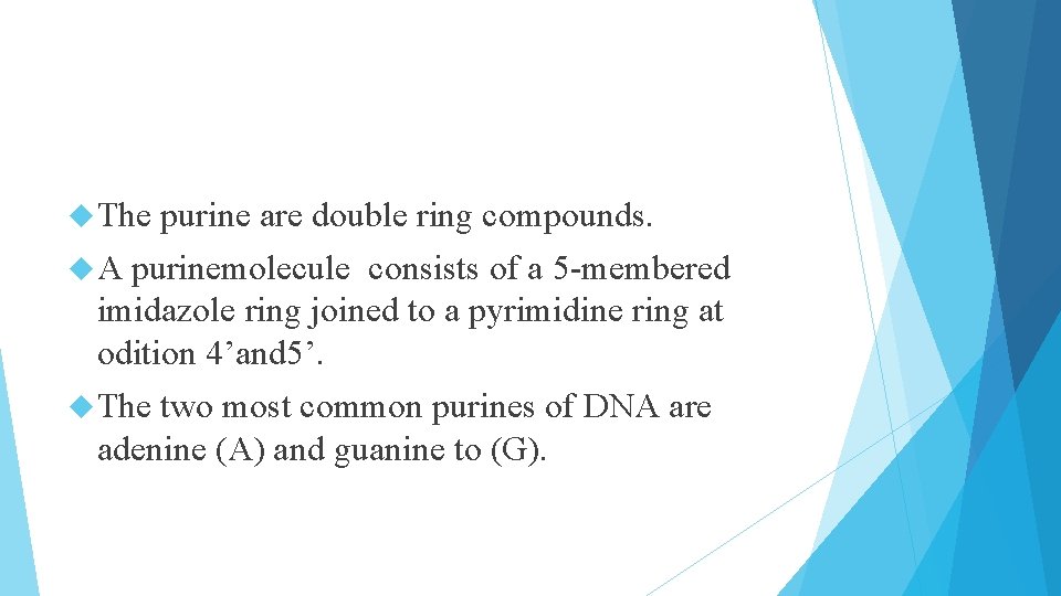  The purine are double ring compounds. A purinemolecule consists of a 5 -membered